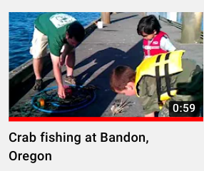 Austin age 4 video - catching crabs in Bandon, Oregon